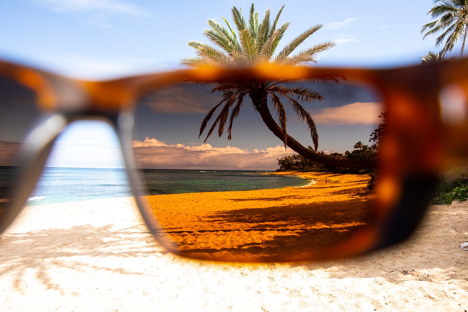 De wereld door een Maui Jim